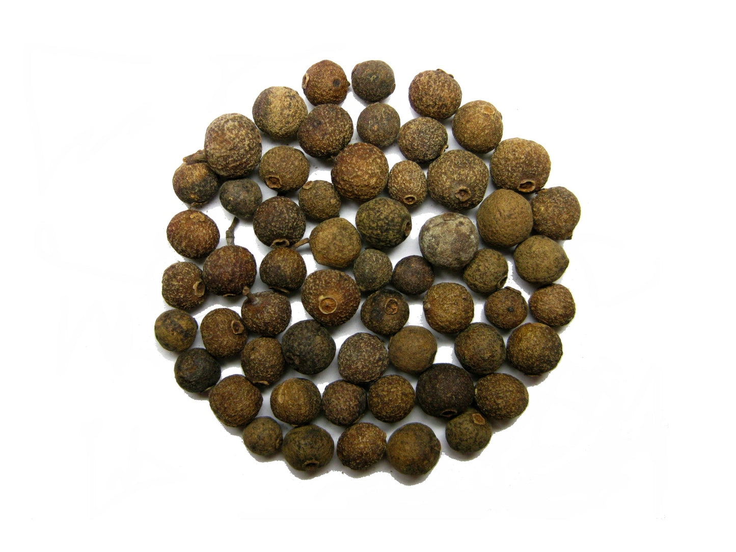 Nové koření. 100 g