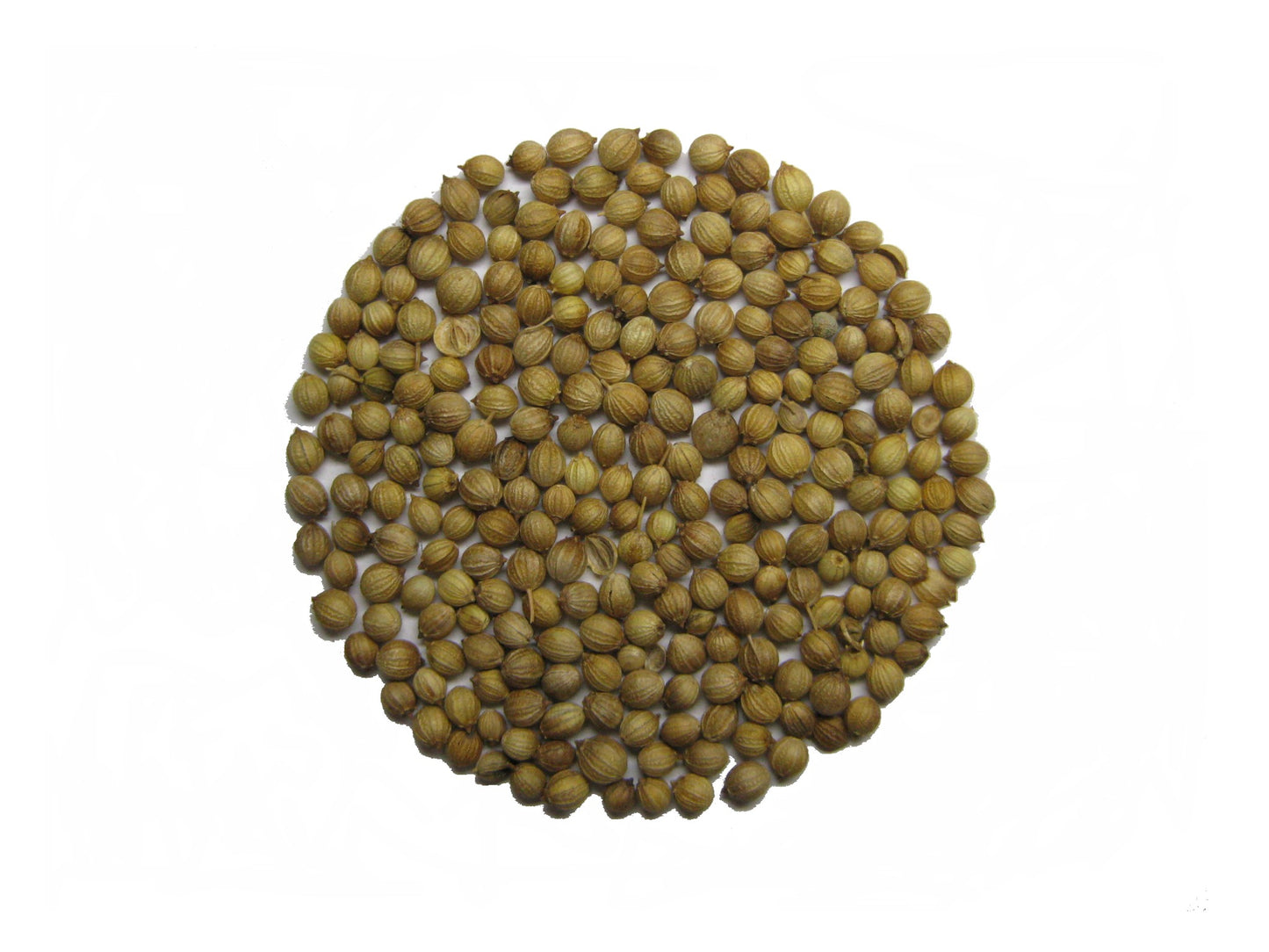 Koriandr. 100 g