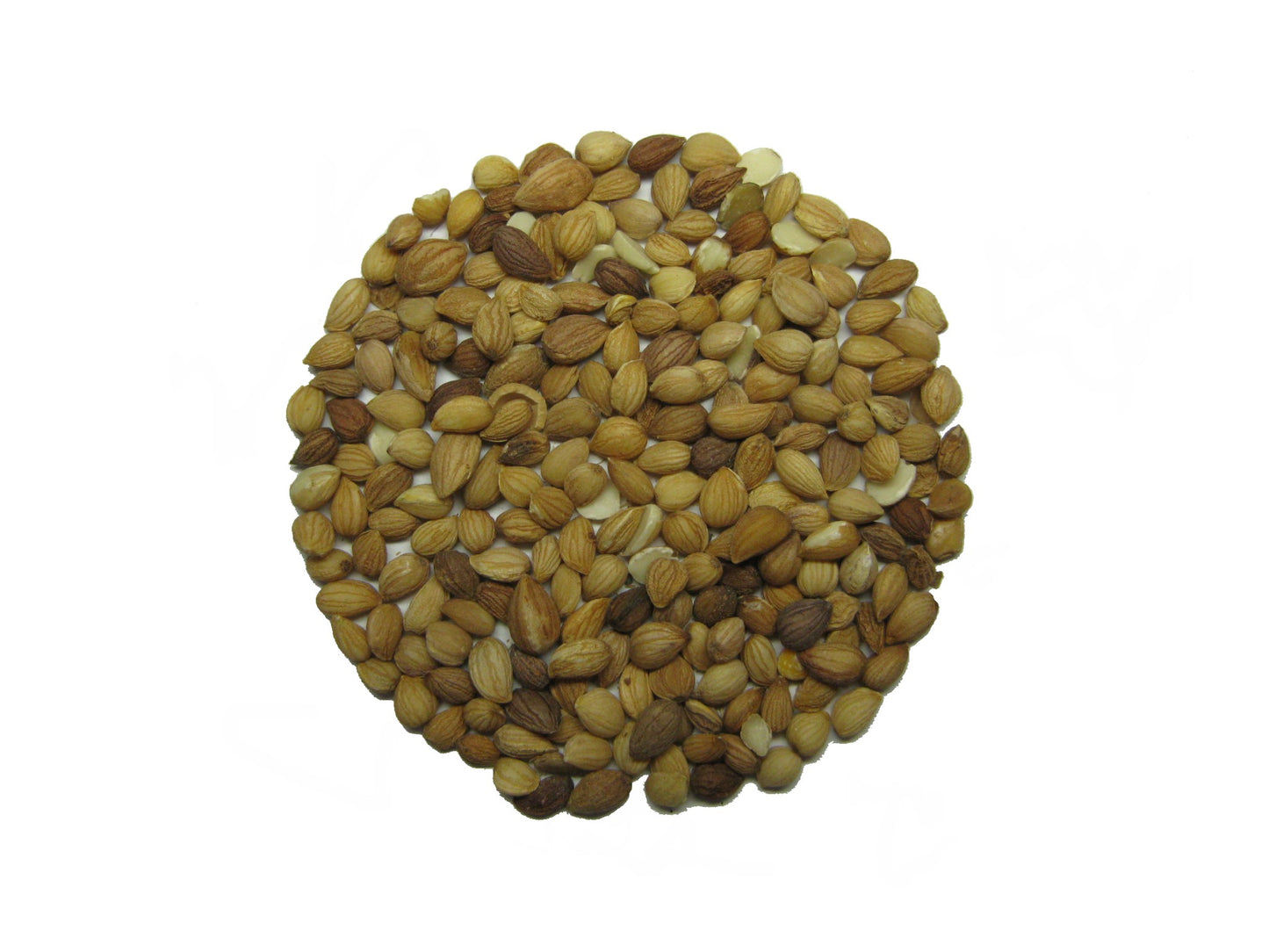 Machlepi. 50 g