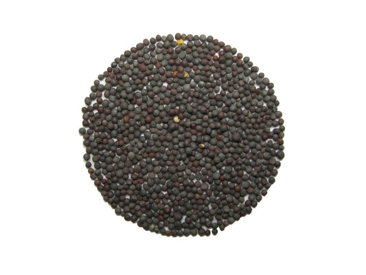 Černá hořčice. 100 g